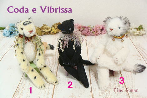 Coda e Vibrissaさま