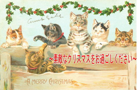 ★メリークリスマス★素敵なクリスマスをお過ごしください★