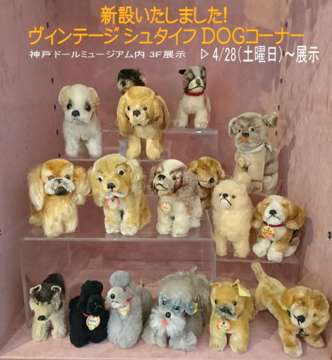 ◆4/28（ＳＡＴ）より◆ヴィンテージ シュタイフ ＤＯＧコーナーを新設し誕生いたしました◆神戸ドールミュージアム 3階◆